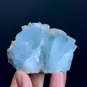 specimen video