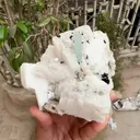 specimen video