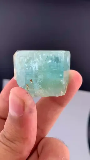 specimen video