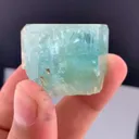 specimen video