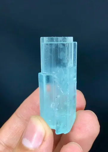 specimen video