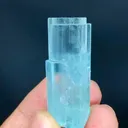 specimen video