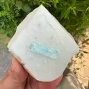 specimen video
