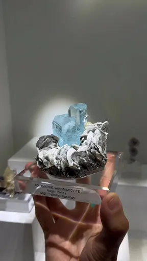 specimen video