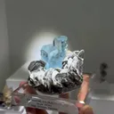 specimen video