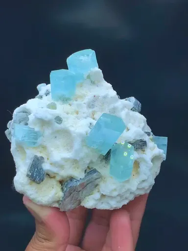 specimen video