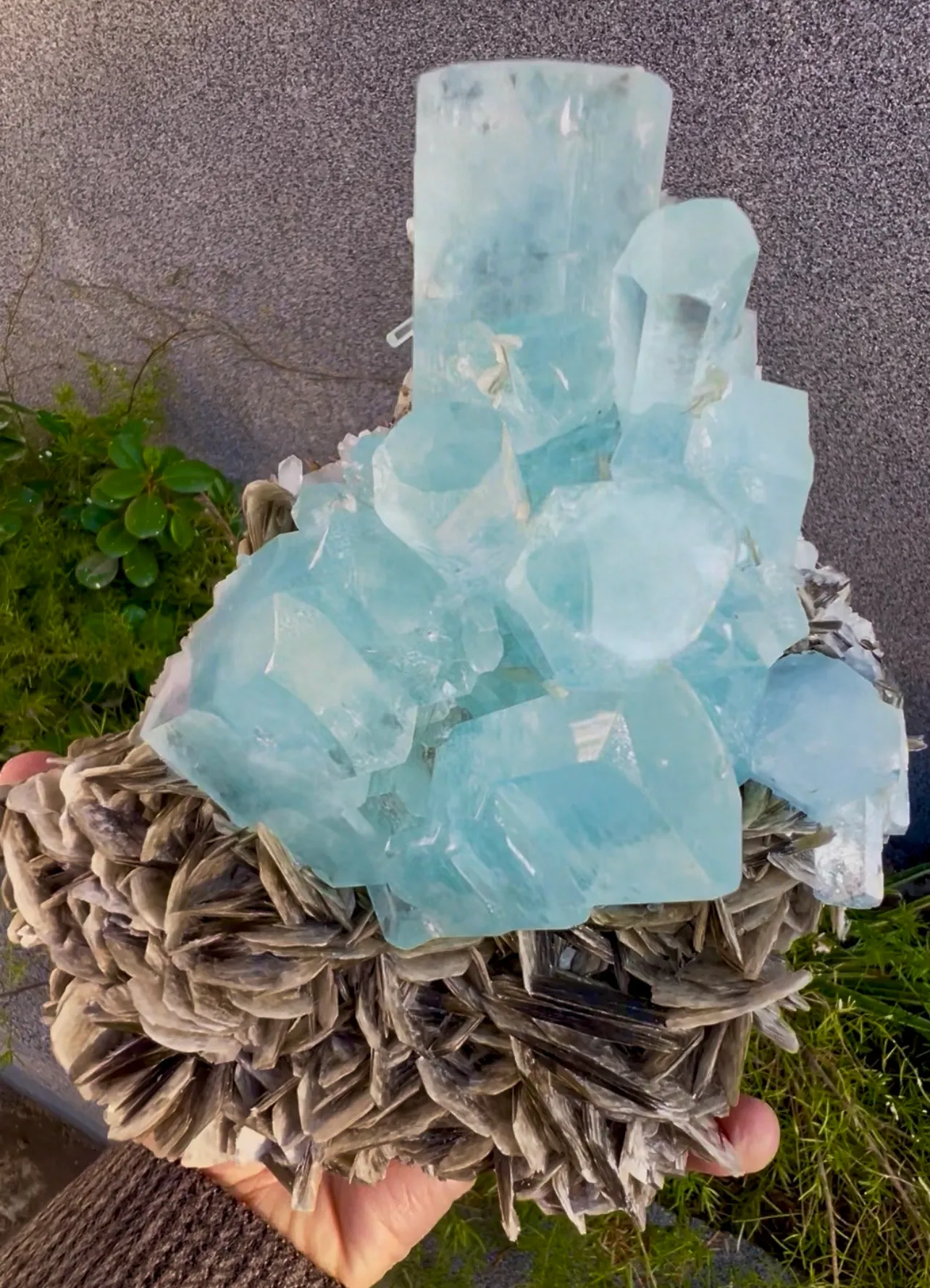 Aquamarine from Pakistan, Gilgit-Baltistan, Nagar District, Chumar Bakhoor - image 8