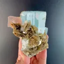 specimen video