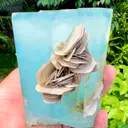 Aquamarine from Pakistan, Gilgit-Baltistan, Nagar District, Chumar Bakhoor - image 4