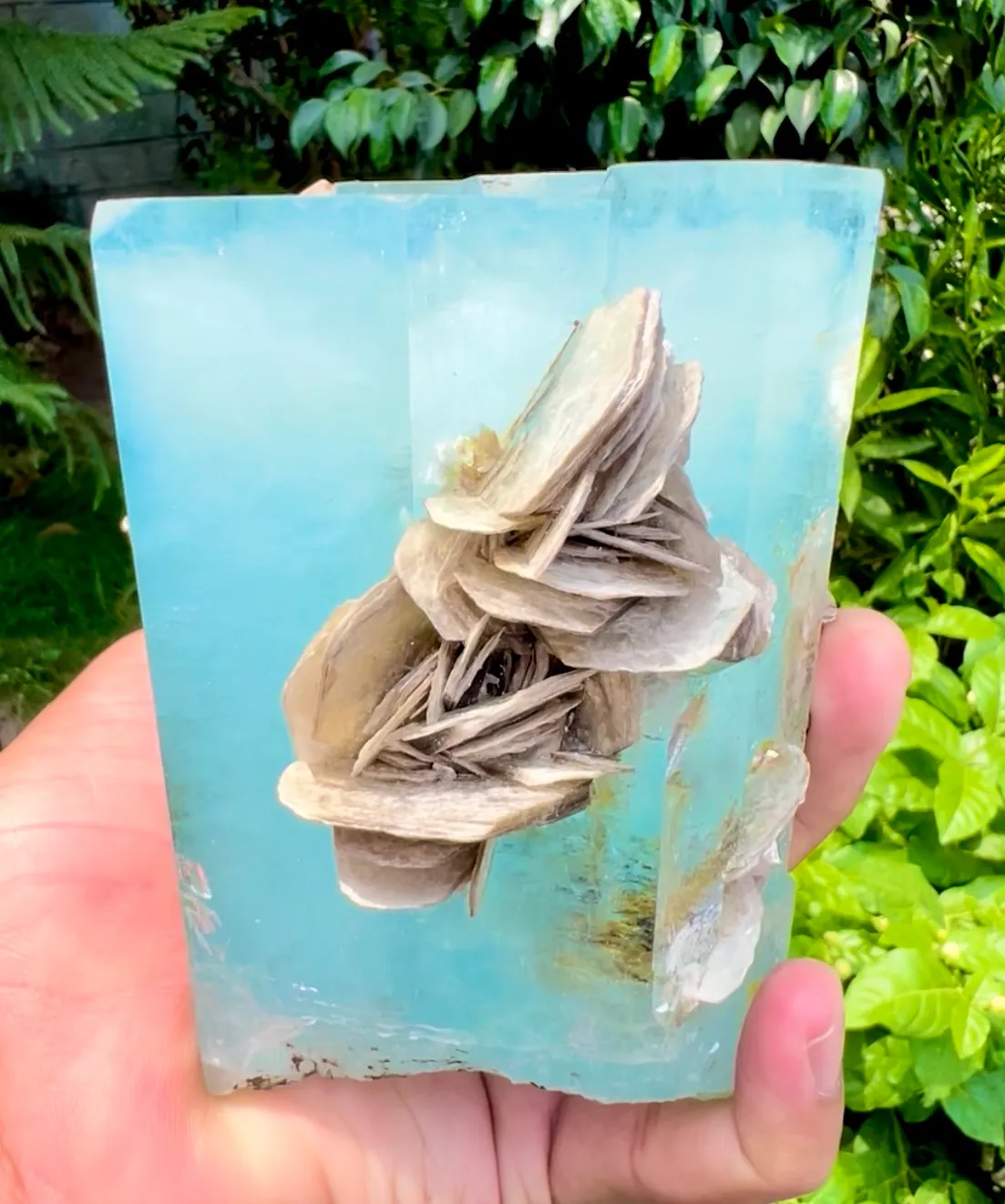 Aquamarine from Pakistan, Gilgit-Baltistan, Nagar District, Chumar Bakhoor - image 4