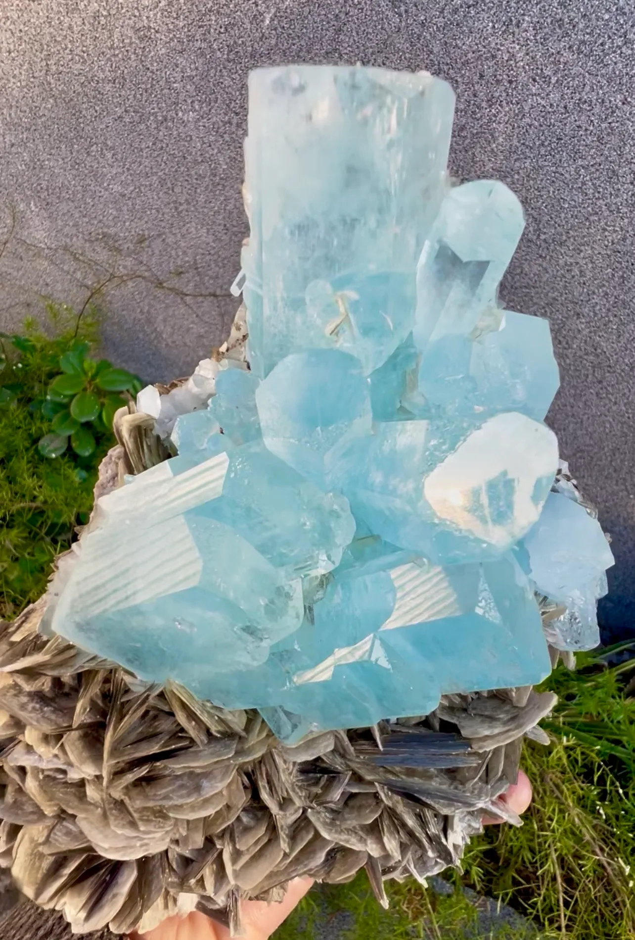 Aquamarine from Pakistan, Gilgit-Baltistan, Nagar District, Chumar Bakhoor - image 6