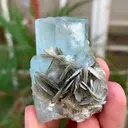specimen video