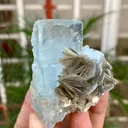 Aquamarine from Pakistan, Gilgit-Baltistan, Nagar District, Nagar - image 3