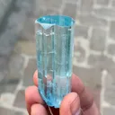 specimen video