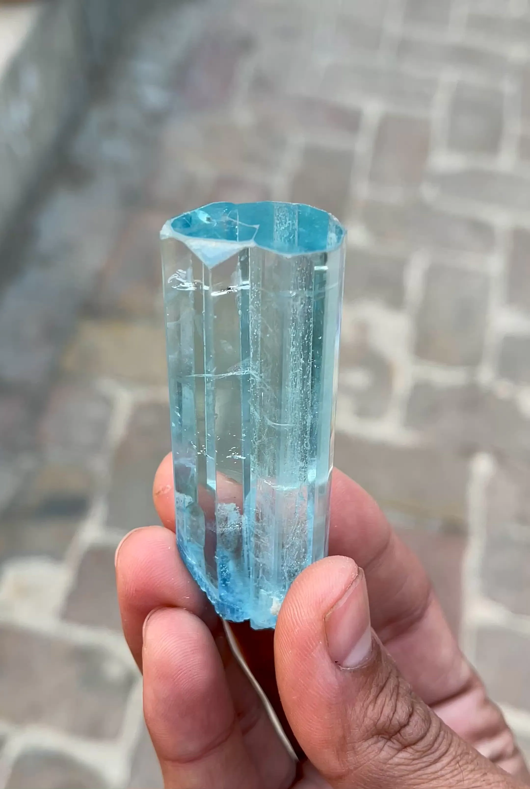 specimen video