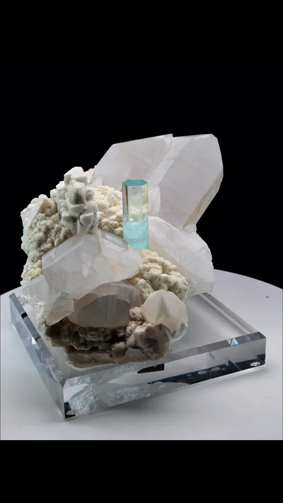 specimen video