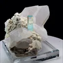 specimen video