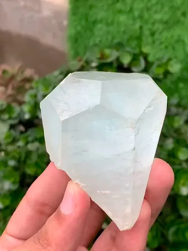 specimen video