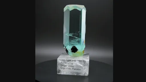 specimen video