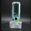 specimen video
