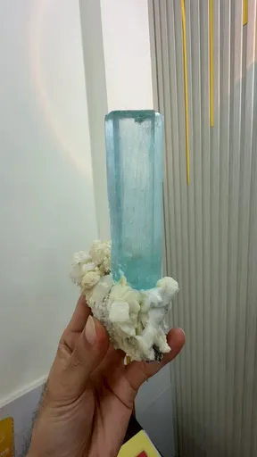 specimen video