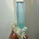 specimen video