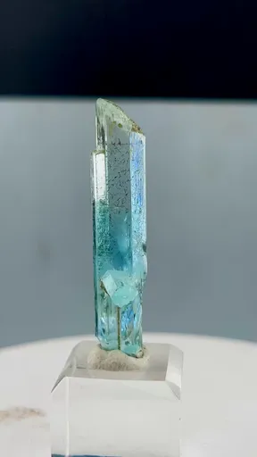 specimen video