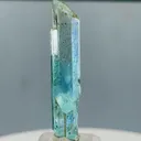 specimen video