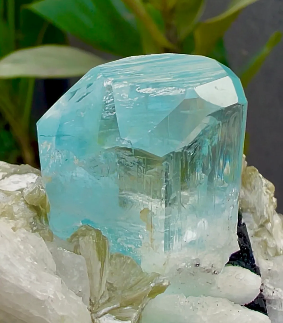 Aquamarine from Pakistan, Gilgit-Baltistan, Shigar District, Shigar Valley, Alchuri - image 7