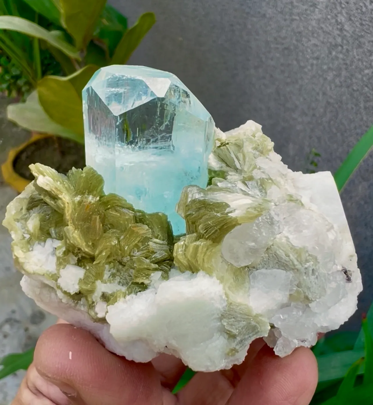 Aquamarine from Pakistan, Gilgit-Baltistan, Shigar District, Shigar Valley, Alchuri - image 4