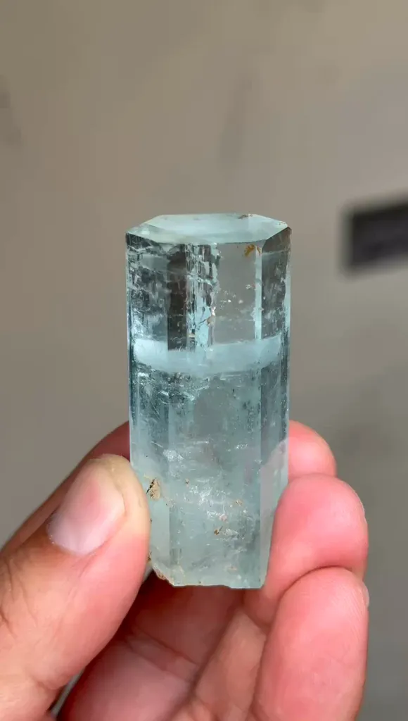 specimen video