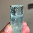 specimen video