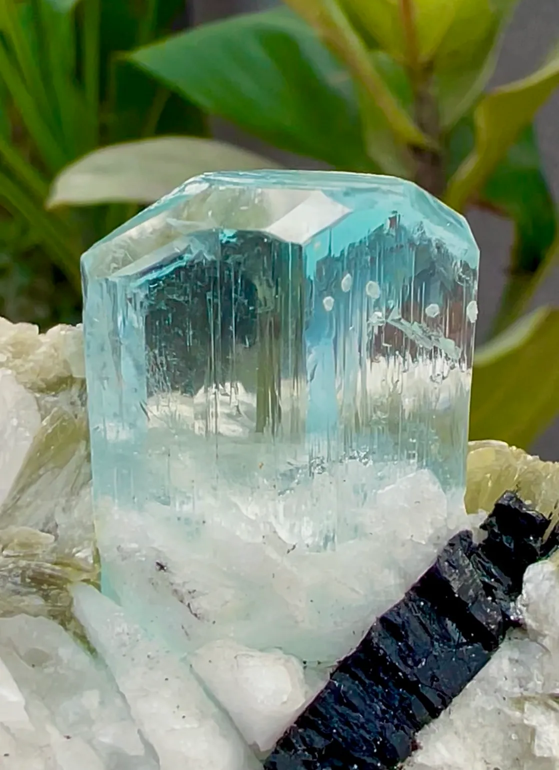 Aquamarine from Pakistan, Gilgit-Baltistan, Shigar District, Shigar Valley, Alchuri - image 6