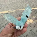 specimen video