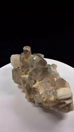 specimen video