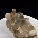 specimen video