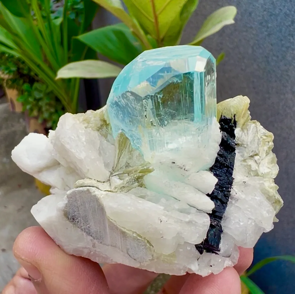 Aquamarine from Pakistan, Gilgit-Baltistan, Shigar District, Shigar Valley, Alchuri - image 2