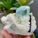 Aquamarine from Pakistan, Gilgit-Baltistan, Shigar District, Shigar Valley, Alchuri - image 8