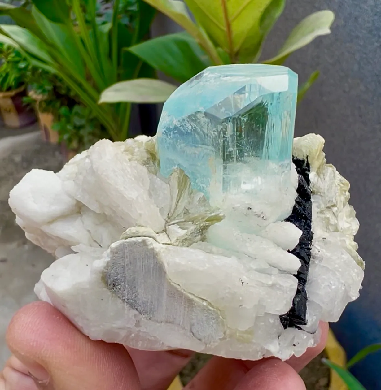 Aquamarine from Pakistan, Gilgit-Baltistan, Shigar District, Shigar Valley, Alchuri - image 8