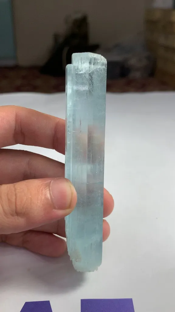 specimen video