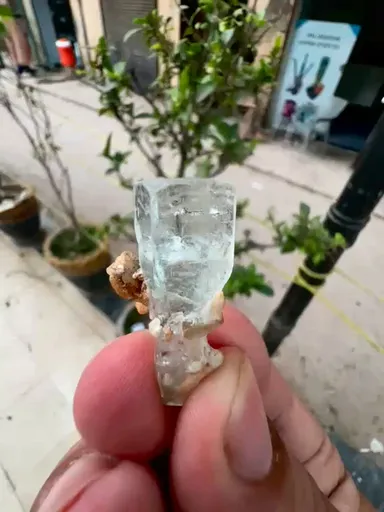 specimen video