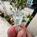 specimen video