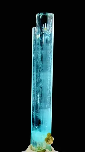 specimen video