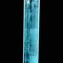 specimen video