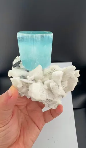 specimen video
