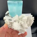 specimen video