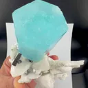 specimen video
