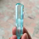 specimen video