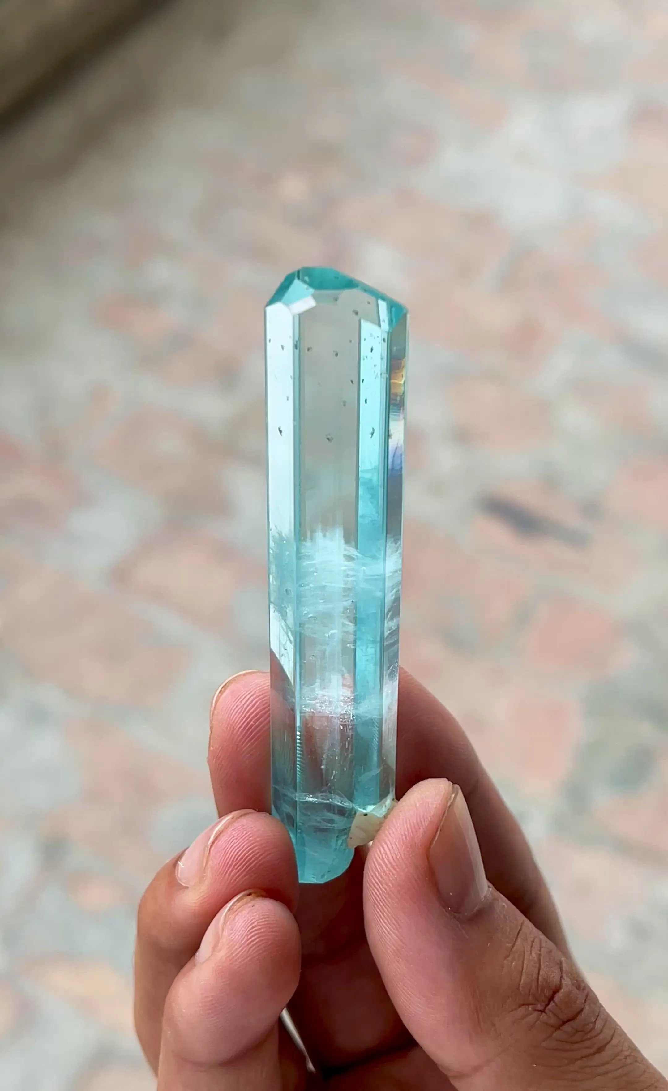 specimen video