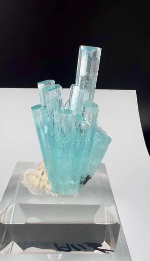 specimen video
